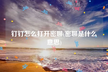 钉钉怎么打开密聊(密聊是什么意思)