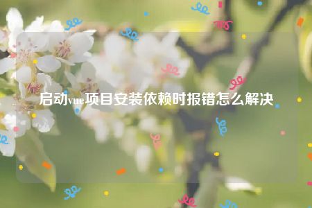 启动vue项目安装依赖时报错怎么解决