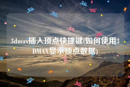 3dmax插入顶点快捷键(如何使用3DMAX显示顶点数据)