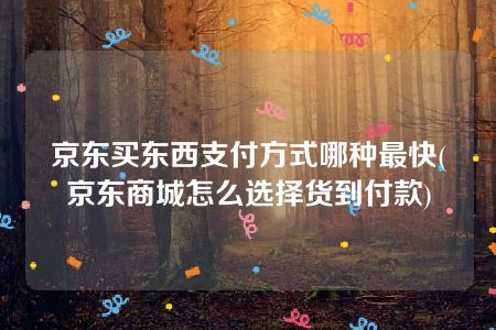 京东买东西支付方式哪种最快(京东商城怎么选择货到付款)