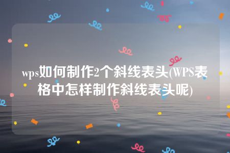 wps如何制作2个斜线表头(WPS表格中怎样制作斜线表头呢)