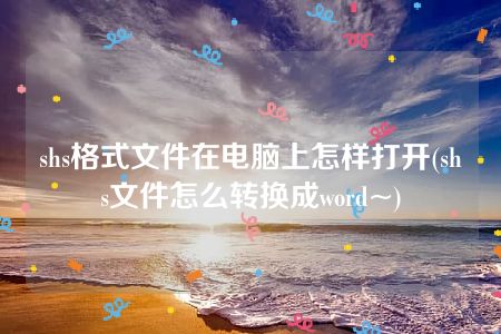 shs格式文件在电脑上怎样打开(shs文件怎么转换成word~)