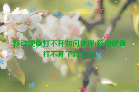 移动硬盘打不开如何处理(移动硬盘打不开了怎么办)