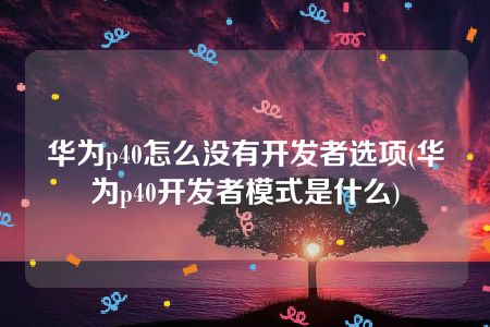 华为p40怎么没有开发者选项(华为p40开发者模式是什么)