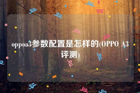 oppoa3参数配置是怎样的(OPPO A3评测)