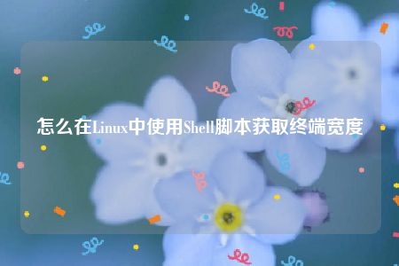 怎么在Linux中使用Shell脚本获取终端宽度