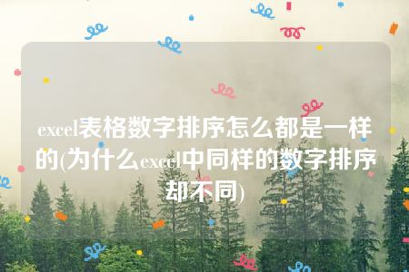 excel表格数字排序怎么都是一样的(为什么excel中同样的数字排序却不同)