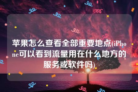 苹果怎么查看全部重要地点(iPhone可以看到流量用在什么地方的服务或软件吗)