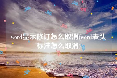 word显示修订怎么取消(word表头标注怎么取消)