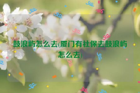 鼓浪屿怎么去(厦门有社保去鼓浪屿怎么去)