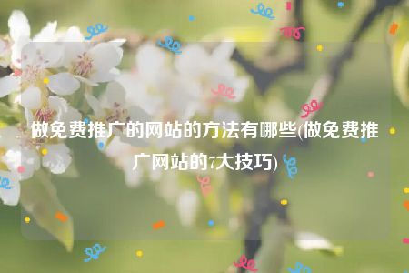 做免费推广的网站的方法有哪些(做免费推广网站的7大技巧)