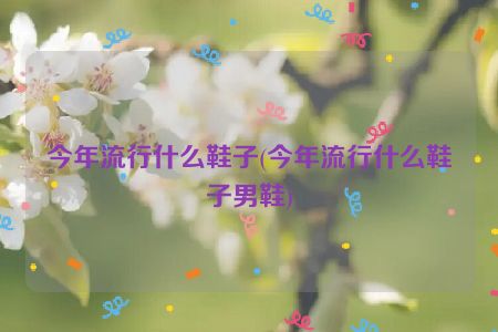 今年流行什么鞋子(今年流行什么鞋子男鞋)