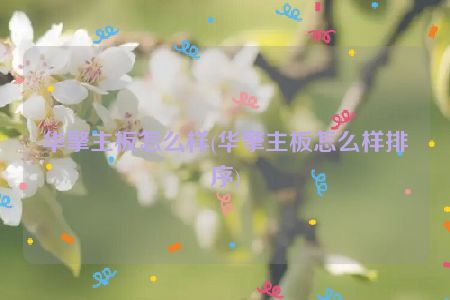 华擎主板怎么样(华擎主板怎么样排序)