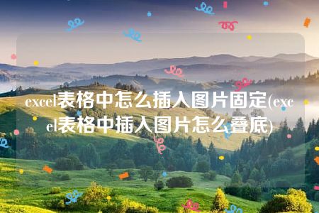 excel表格中怎么插入图片固定(excel表格中插入图片怎么叠底)