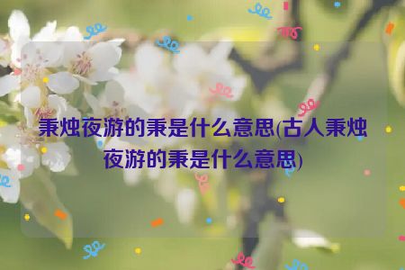 秉烛夜游的秉是什么意思(古人秉烛夜游的秉是什么意思)