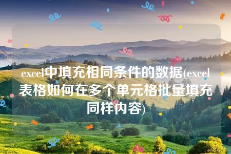 excel中填充相同条件的数据(excel表格如何在多个单元格批量填充同样内容)