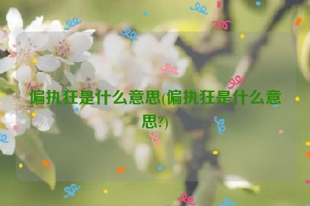 偏执狂是什么意思(偏执狂是什么意思?)