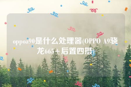 oppoa90是什么处理器(OPPO A9骁龙665+后置四摄)