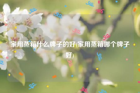 家用蒸箱什么牌子的好(家用蒸箱哪个牌子好)