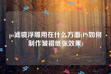 ps滤镜浮雕用在什么方面(PS如何制作皱褶纸张效果)