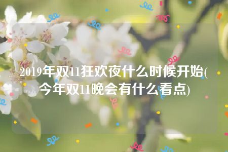 2019年双11狂欢夜什么时候开始(今年双11晚会有什么看点)