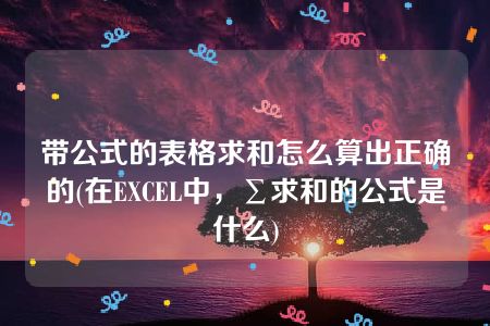 带公式的表格求和怎么算出正确的(在EXCEL中，∑求和的公式是什么)