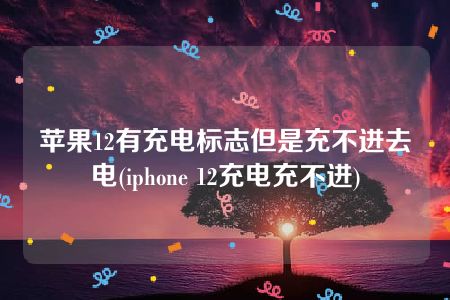 苹果12有充电标志但是充不进去电(iphone 12充电充不进)