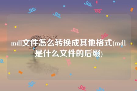 mdl文件怎么转换成其他格式(mdl是什么文件的后缀)