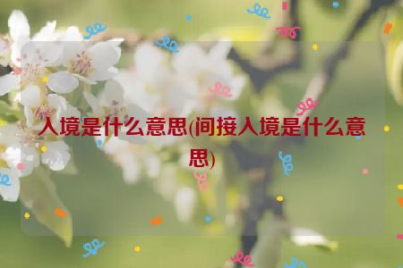 入境是什么意思(间接入境是什么意思)