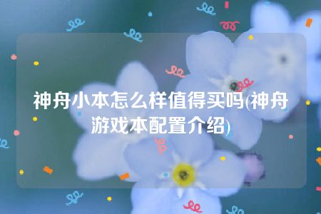 神舟小本怎么样值得买吗(神舟游戏本配置介绍)