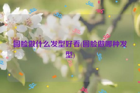 圆脸做什么发型好看(圆脸做哪种发型)