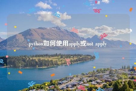 python如何使用apply或not apply