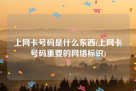 上网卡号码是什么东西(上网卡号码重要的网络标识)