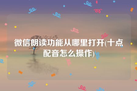 微信朗读功能从哪里打开(十点配音怎么操作)