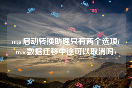 mac启动转换助理只有两个选项(mac数据迁移中途可以取消吗)