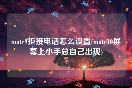 mate9拒接电话怎么设置(mate30屏幕上小手总自己出现)