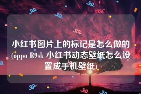 小红书图片上的标记是怎么做的(oppo R9sk 小红书动态壁纸怎么设置成手机壁纸)