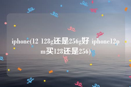 iphone(12 128g还是256g好 iphone12pm买128还是256)