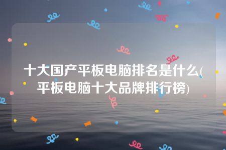 十大国产平板电脑排名是什么(平板电脑十大品牌排行榜)