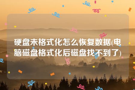 硬盘未格式化怎么恢复数据(电脑磁盘格式化后磁盘找不到了)