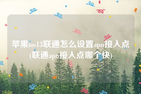 苹果ios13联通怎么设置apn接入点(联通apn接入点哪个快)