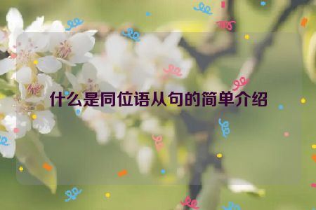 什么是同位语从句的简单介绍