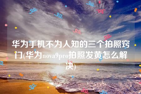 华为手机不为人知的三个拍照窍门(华为nova9pro拍照发黄怎么解决)