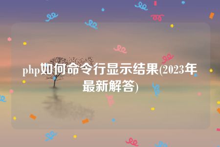 php如何命令行显示结果(2023年最新解答)