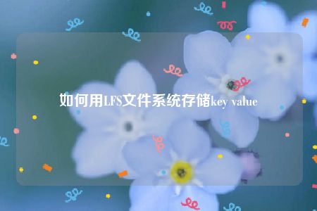 如何用LFS文件系统存储key value