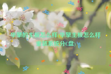 华擎的主板怎么样(华擎主板怎么样重装系统分C盘)