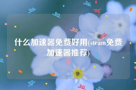 什么加速器免费好用(steam免费加速器推荐)