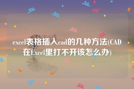 excel表格插入cad的几种方法(CAD在Excel里打不开该怎么办)