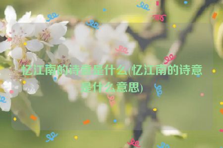 忆江南的诗意是什么(忆江南的诗意是什么意思)