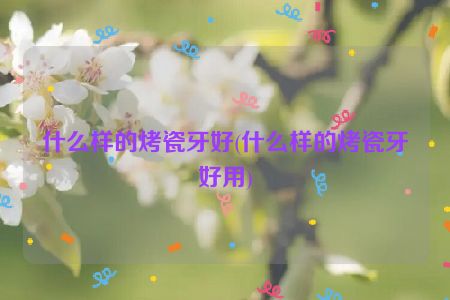 什么样的烤瓷牙好(什么样的烤瓷牙好用)